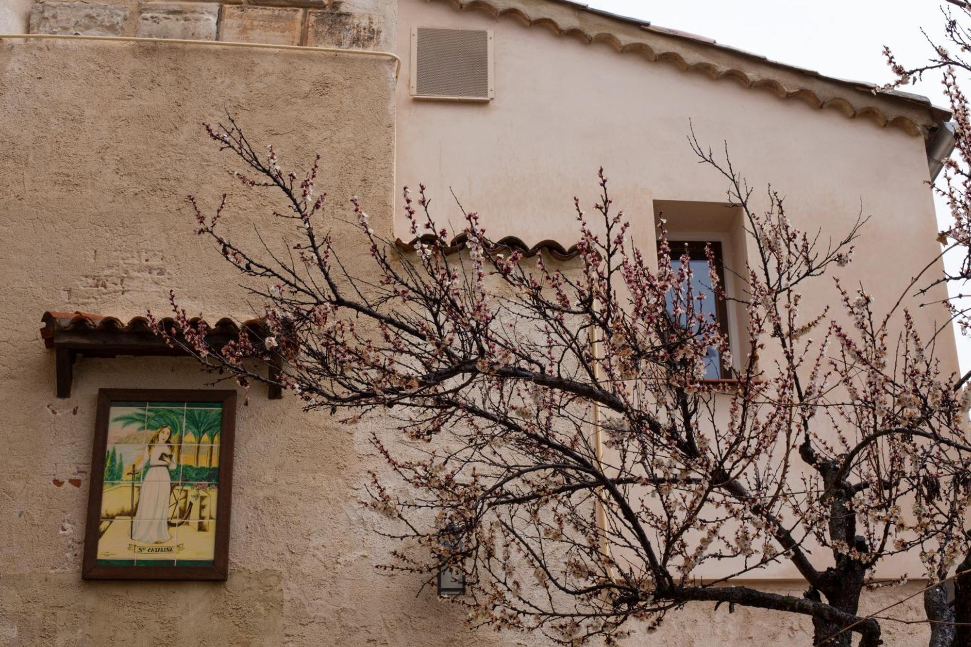 Huerto De Mateo Arana Villa Cuenca  Dış mekan fotoğraf